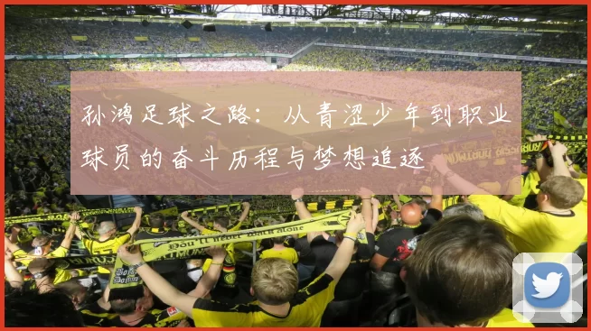 孙鸿足球之路：从青涩少年到职业球员的奋斗历程与梦想追逐