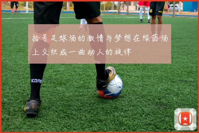 拾号足球场的激情与梦想在绿茵场上交织成一曲动人的旋律