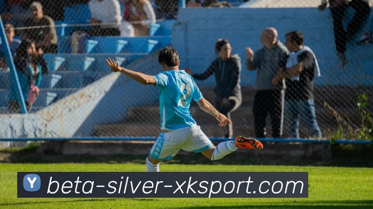 多媒体互动体验