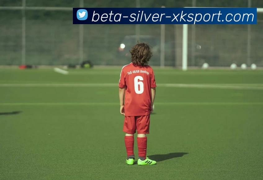 星空体育APP 高清赛事图